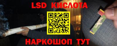 PSILOCYBIN Бугуруслан