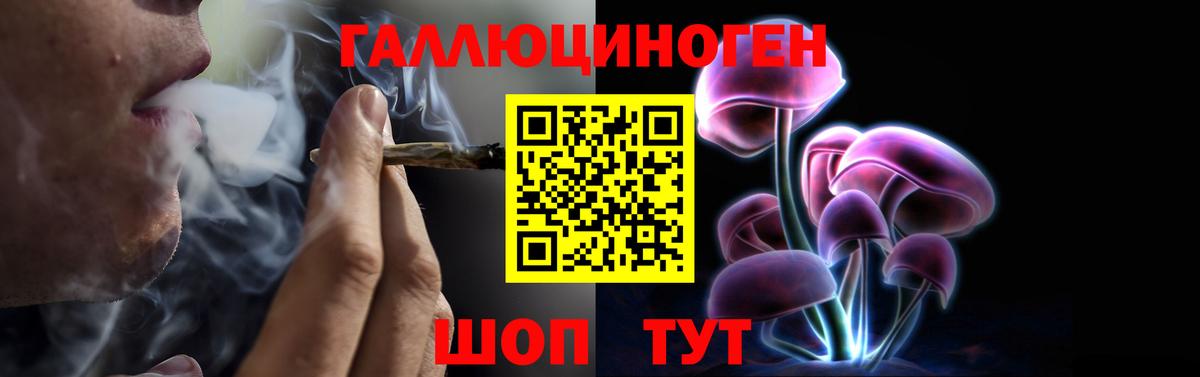 Галлюциногенные грибы Psilocybe  Галлюциногенные грибы MAGIC MUSHROOMS  Чебоксары  Вход с VPN 