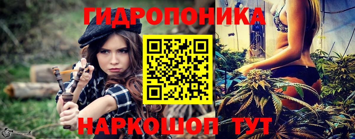 Бошки Шишки ГИДРОПОН Чебоксары